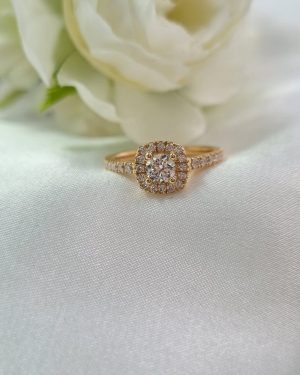 077-halo-brillante-1